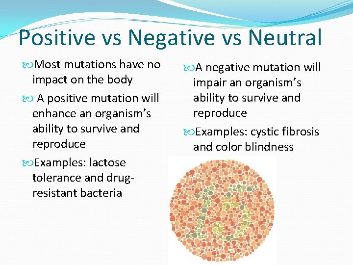 Positive vs Negative vs Neutral Most mutations have no impact on the body A