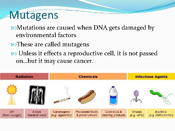 Mutagens Mutations are caused when DNA gets damaged by environmental factors These are called