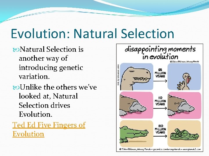 Evolution: Natural Selection is another way of introducing genetic variation. Unlike the others we’ve