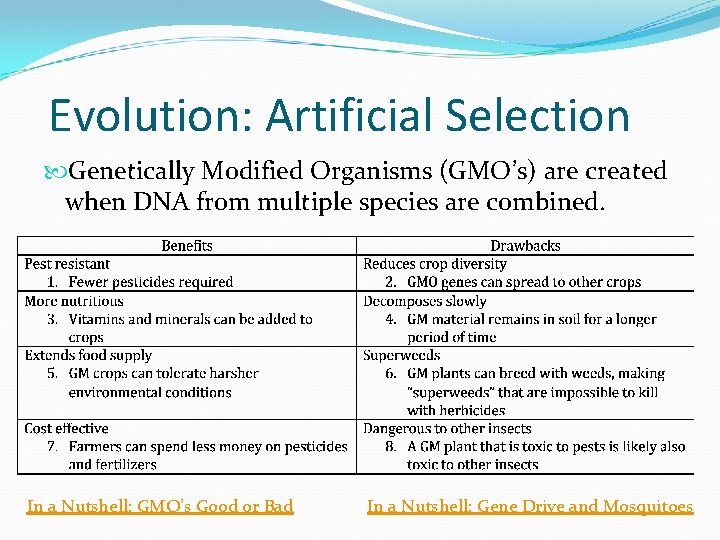 Evolution: Artificial Selection Genetically Modified Organisms (GMO’s) are created when DNA from multiple species