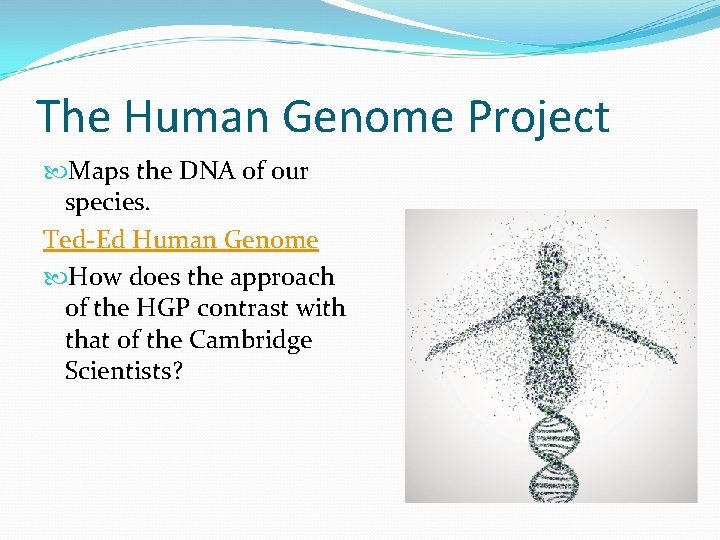 The Human Genome Project Maps the DNA of our species. Ted-Ed Human Genome How