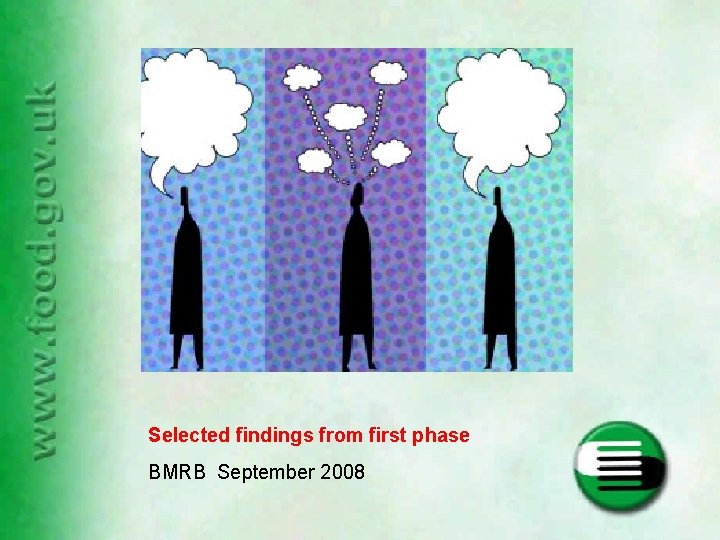 Selected findings from first phase BMRB September 2008 