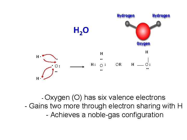 H 2 O H∙ . . O: . . H H. . H: O