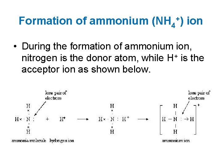 Formation of ammonium (NH 4+) ion • During the formation of ammonium ion, nitrogen