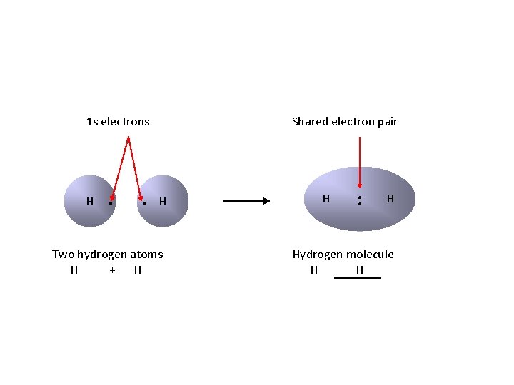 1 s electrons H ∙ ∙ Shared electron pair H Two hydrogen atoms H