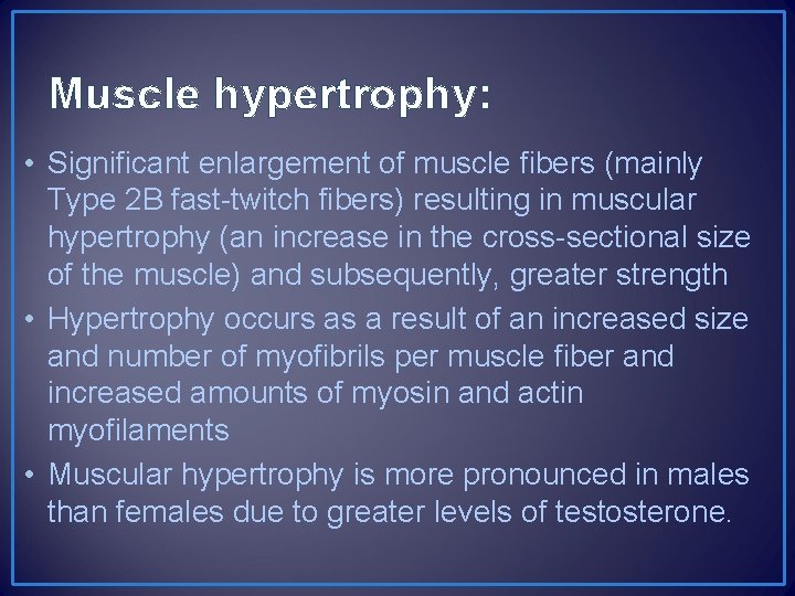 Muscle hypertrophy: • Significant enlargement of muscle fibers (mainly Type 2 B fast-twitch fibers)