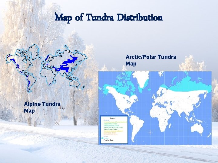Map of Tundra Distribution Arctic/Polar Tundra Map Alpine Tundra Map 