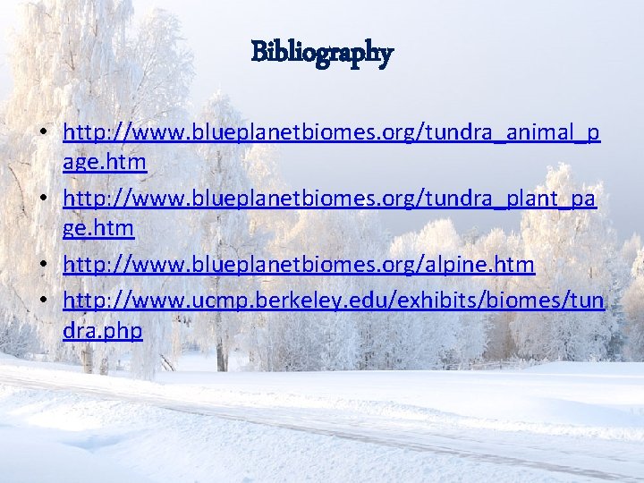 Bibliography • http: //www. blueplanetbiomes. org/tundra_animal_p age. htm • http: //www. blueplanetbiomes. org/tundra_plant_pa ge.