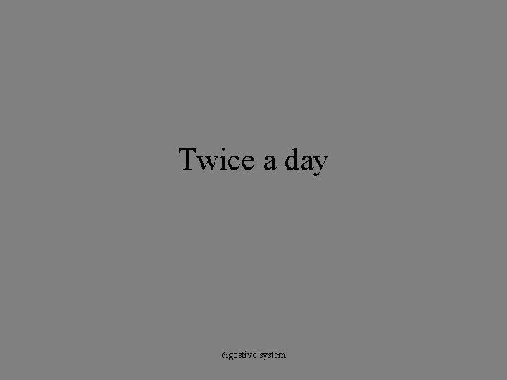 Twice a day digestive system 