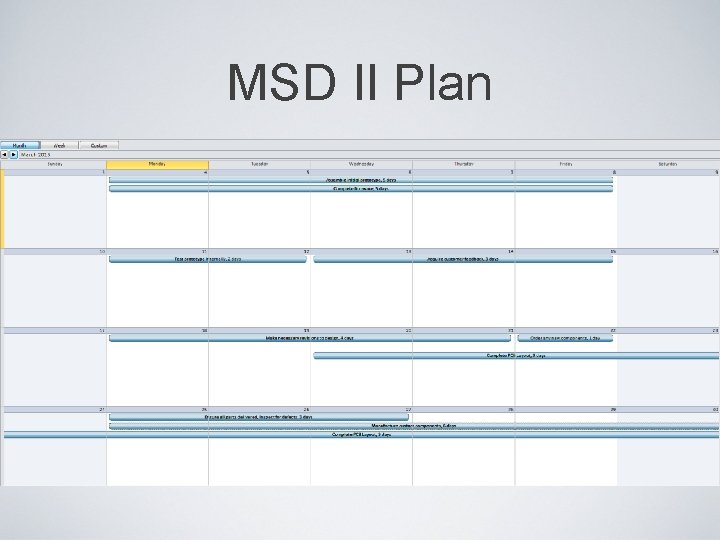MSD II Plan 