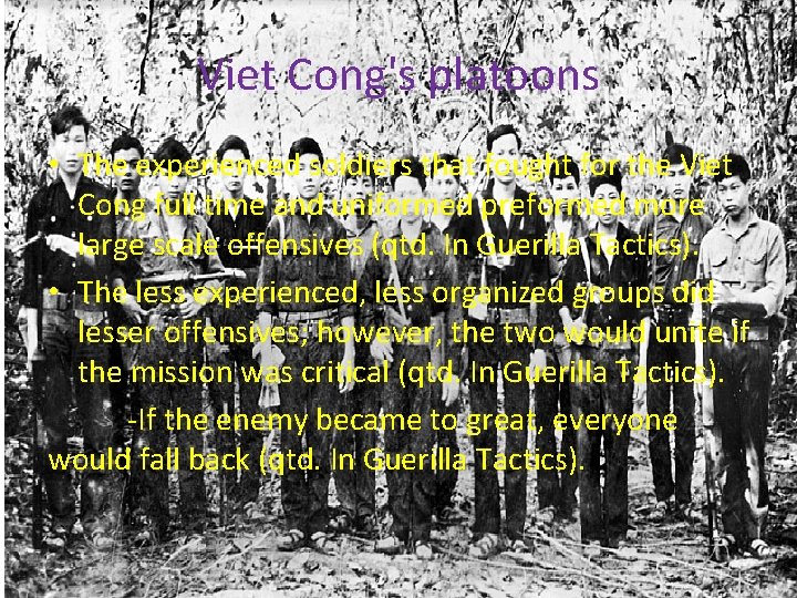 Viet Cong's platoons • The experienced soldiers that fought for the Viet Cong full