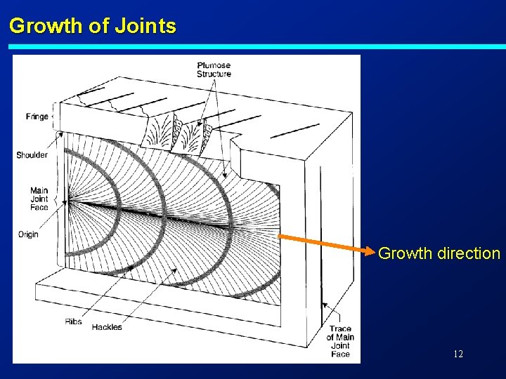 Growth of Joints Growth direction 12 