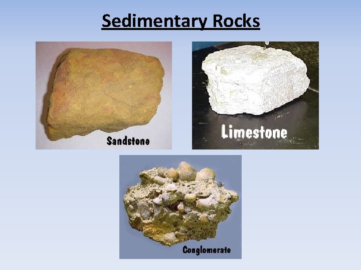 Sedimentary Rocks 