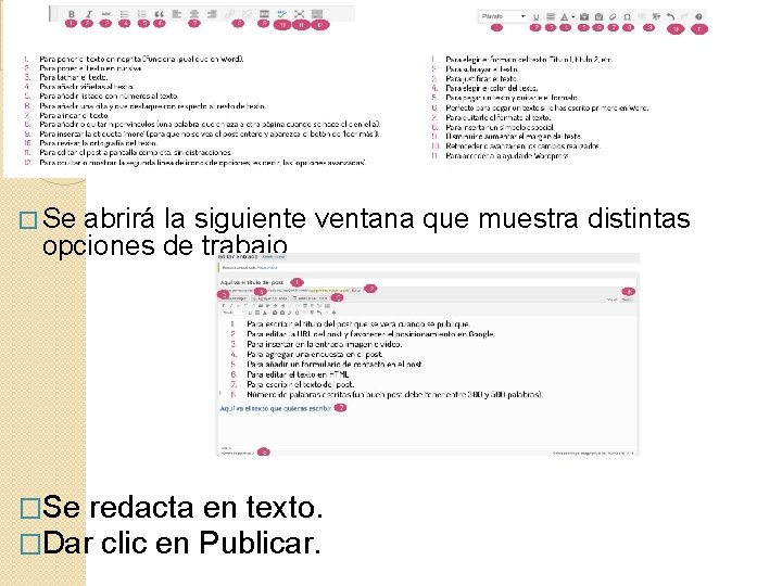 � Se abrirá la siguiente ventana que muestra distintas opciones de trabajo. �Se redacta