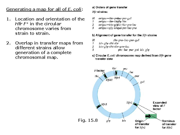 Generating a map for all of E. coli: 1. Location and orientation of the