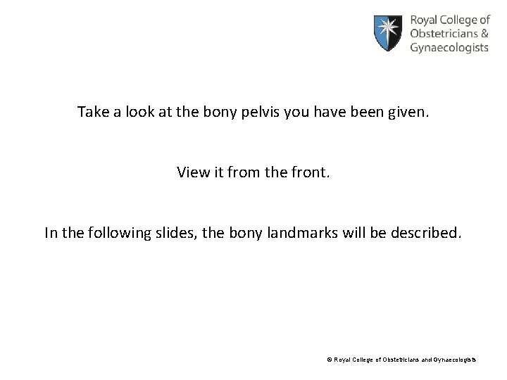 Take a look at the bony pelvis you have been given. View it from