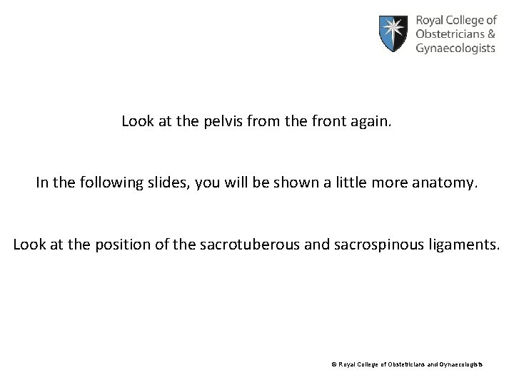 Look at the pelvis from the front again. In the following slides, you will