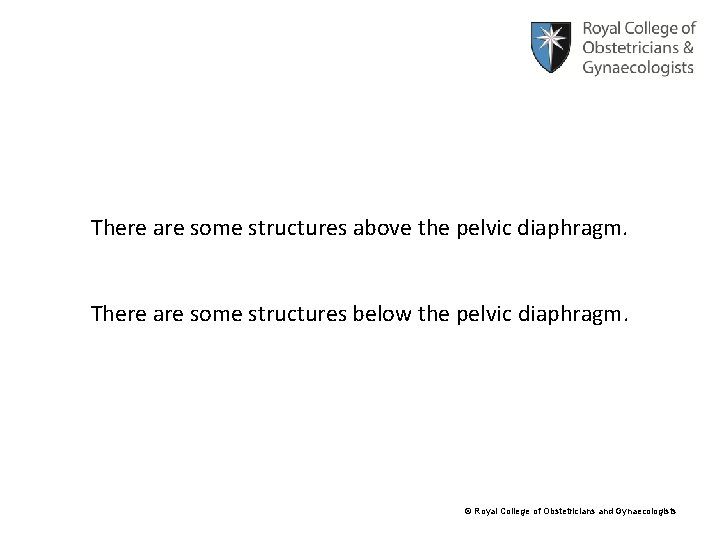 There are some structures above the pelvic diaphragm. There are some structures below the