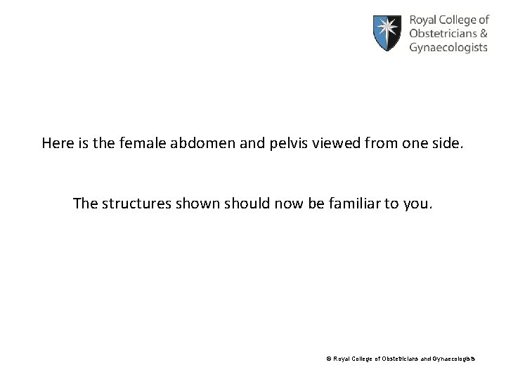 Here is the female abdomen and pelvis viewed from one side. The structures shown