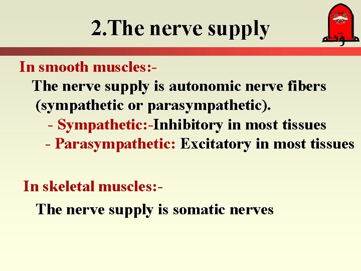 2. The nerve supply In smooth muscles: The nerve supply is autonomic nerve fibers