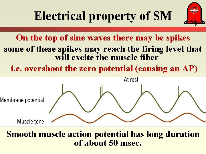 Electrical property of SM On the top of sine waves there may be spikes