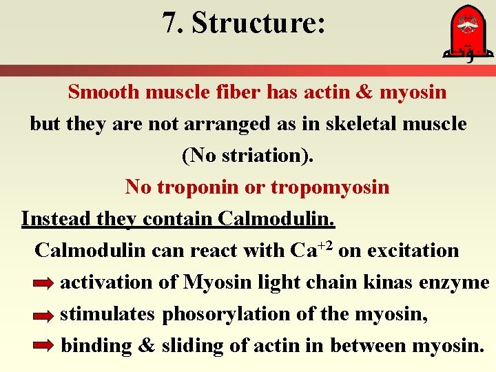 7. Structure: Smooth muscle fiber has actin & myosin but they are not arranged