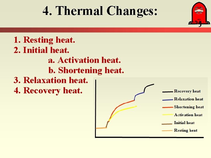 4. Thermal Changes: 1. Resting heat. 2. Initial heat. a. Activation heat. b. Shortening