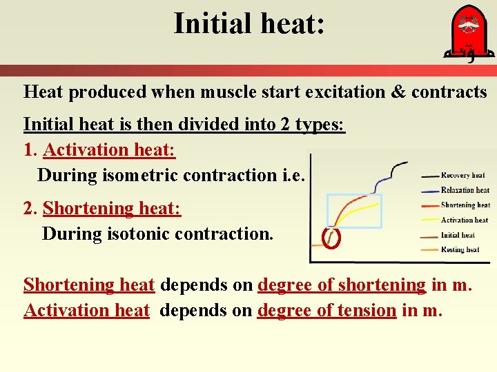 Initial heat: Heat produced when muscle start excitation & contracts Initial heat is then