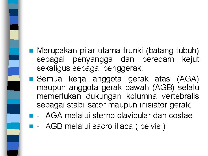 Merupakan pilar utama trunki (batang tubuh) sebagai penyangga dan peredam kejut sekaligus sebagai penggerak.