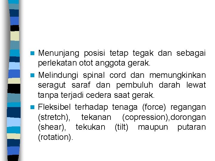 Menunjang posisi tetap tegak dan sebagai perlekatan otot anggota gerak. n Melindungi spinal cord