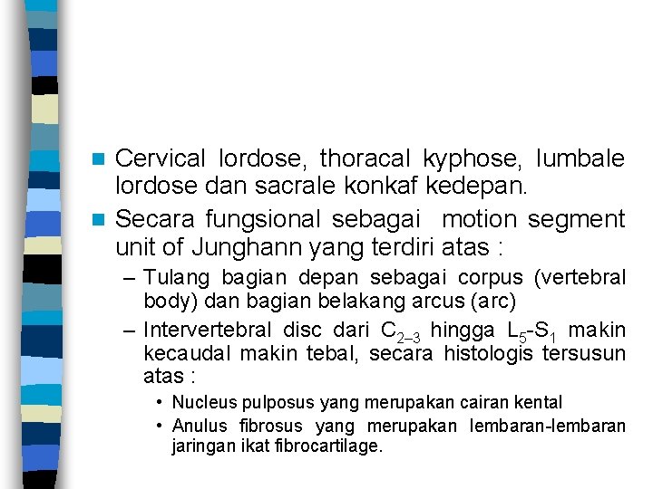 Cervical lordose, thoracal kyphose, lumbale lordose dan sacrale konkaf kedepan. n Secara fungsional sebagai