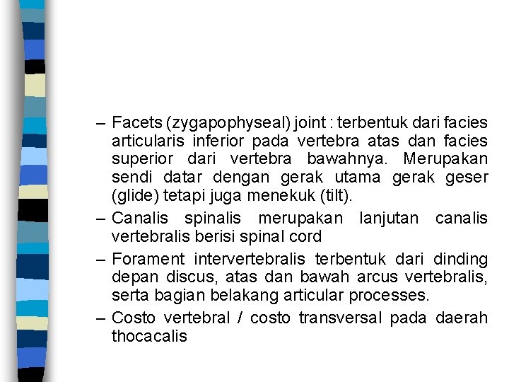 – Facets (zygapophyseal) joint : terbentuk dari facies articularis inferior pada vertebra atas dan