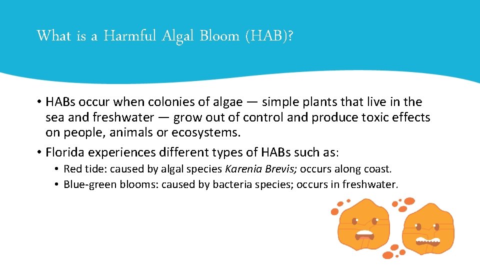 What is a Harmful Algal Bloom (HAB)? • HABs occur when colonies of algae