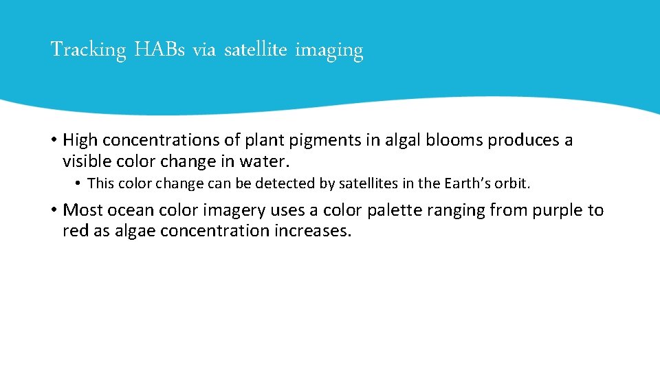 Tracking HABs via satellite imaging • High concentrations of plant pigments in algal blooms
