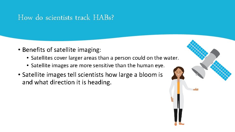 How do scientists track HABs? • Benefits of satellite imaging: • Satellites cover larger