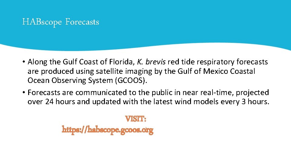 HABscope Forecasts • Along the Gulf Coast of Florida, K. brevis red tide respiratory