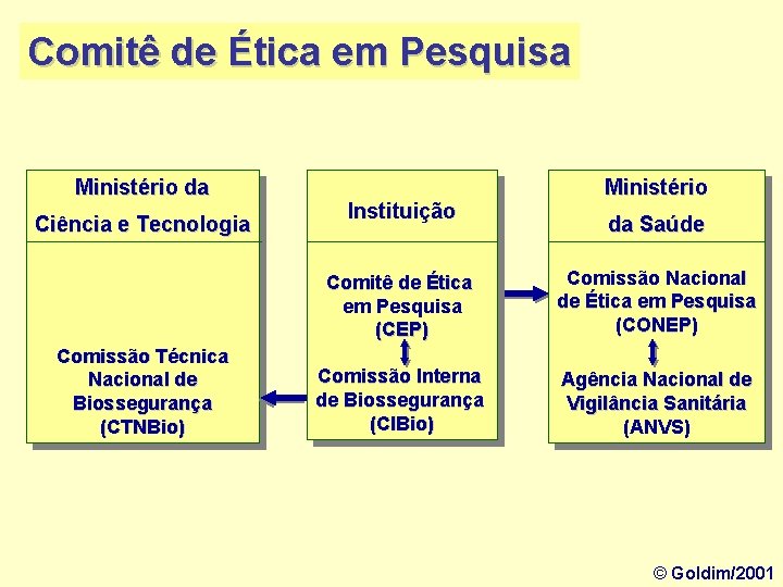 Comitê de Ética em Pesquisa Ministério da Ciência e Tecnologia Comissão Técnica Nacional de