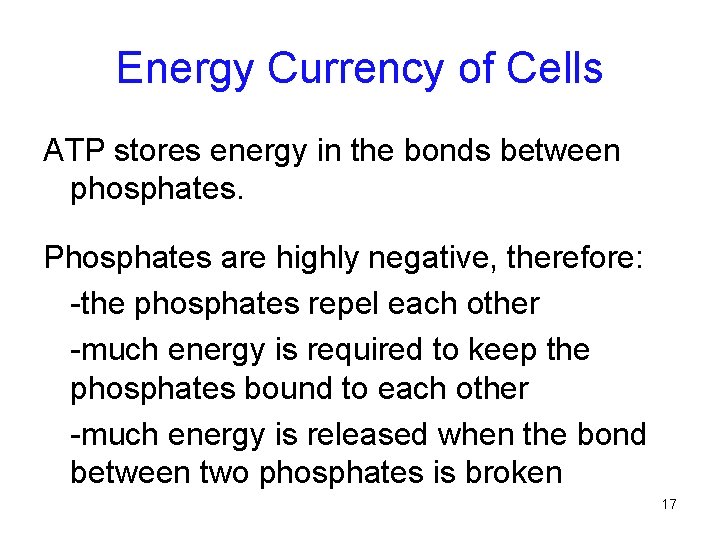 Energy Currency of Cells ATP stores energy in the bonds between phosphates. Phosphates are