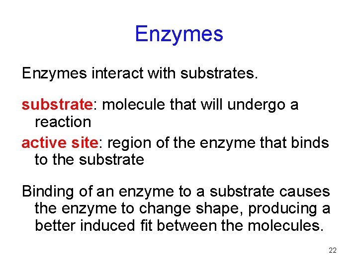 Enzymes interact with substrates. substrate: molecule that will undergo a reaction active site: region