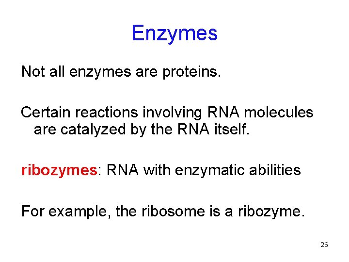 Enzymes Not all enzymes are proteins. Certain reactions involving RNA molecules are catalyzed by