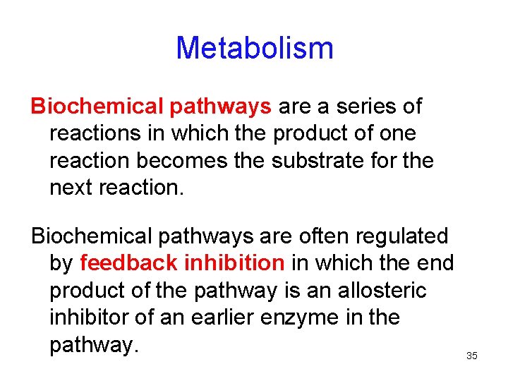 Metabolism Biochemical pathways are a series of reactions in which the product of one