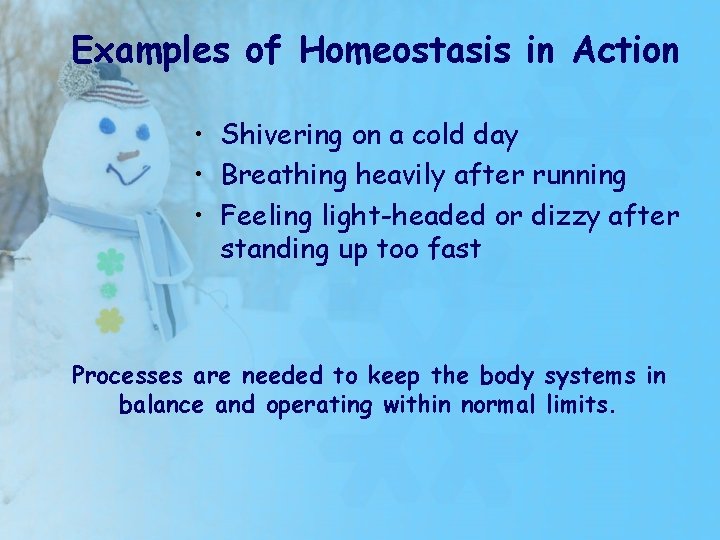 Examples of Homeostasis in Action • Shivering on a cold day • Breathing heavily