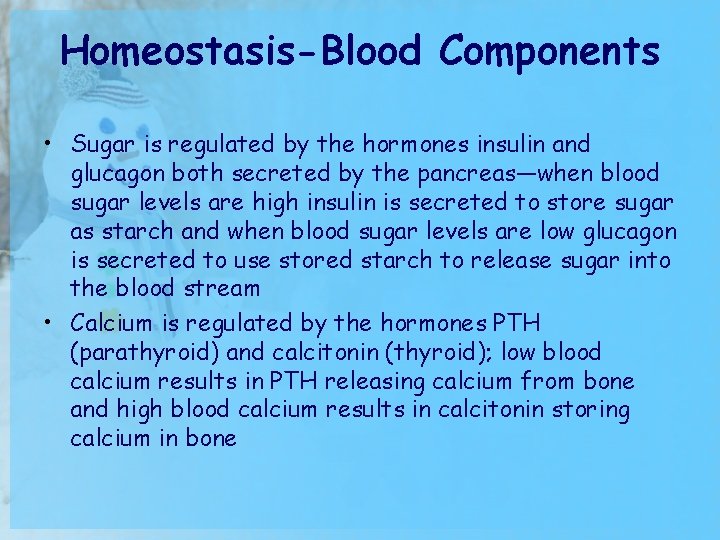 Homeostasis-Blood Components • Sugar is regulated by the hormones insulin and glucagon both secreted