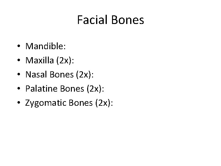 Facial Bones • • • Mandible: Maxilla (2 x): Nasal Bones (2 x): Palatine