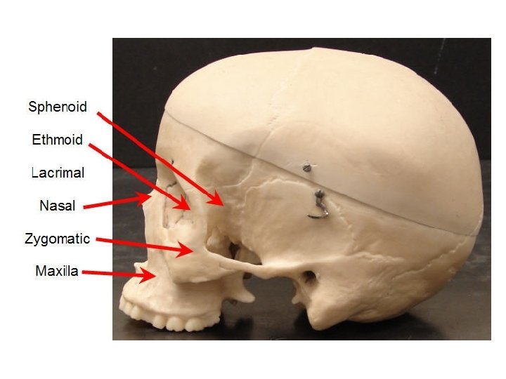 Created by Scott Ford © 2007 All rights reserved 