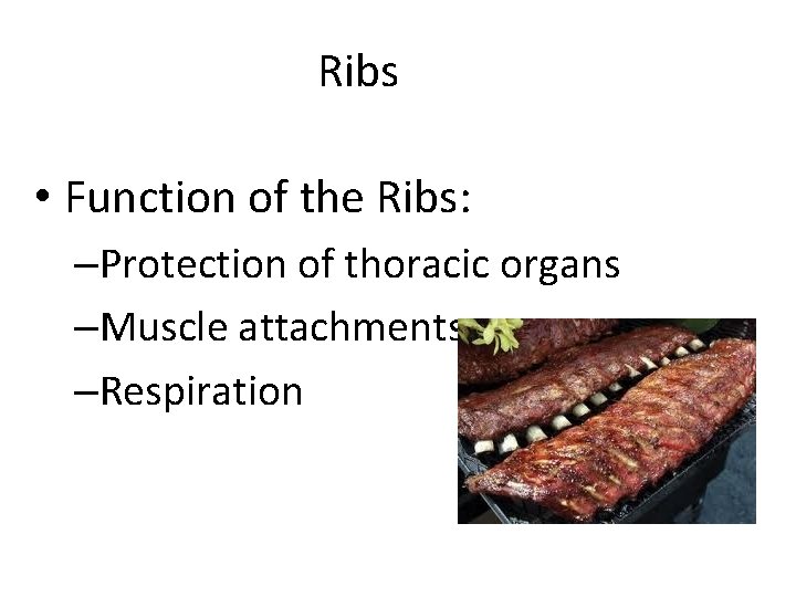 Ribs • Function of the Ribs: –Protection of thoracic organs –Muscle attachments –Respiration Created