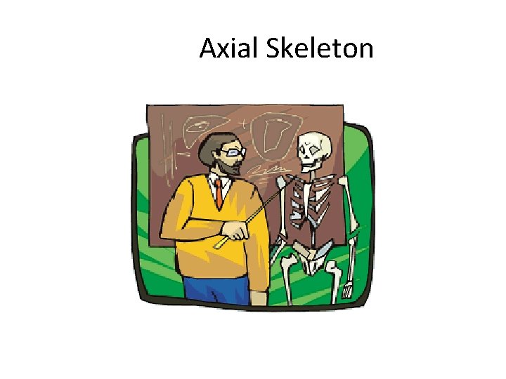 Axial Skeleton 