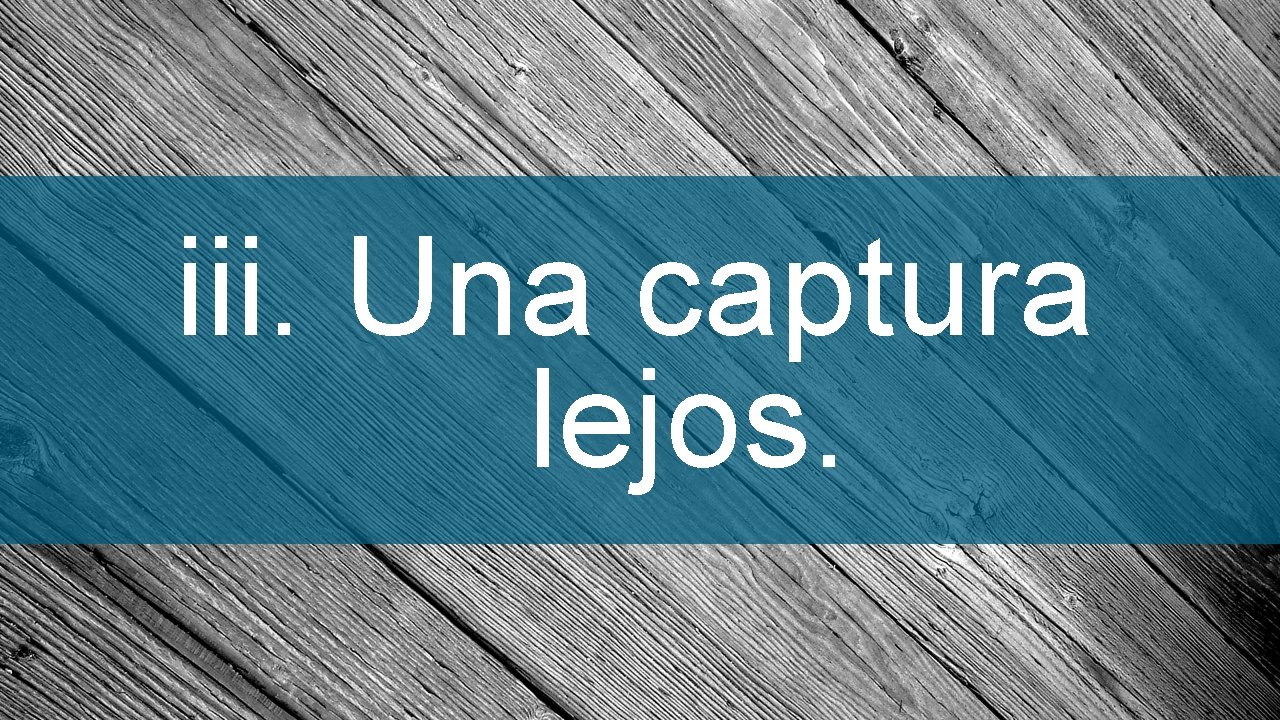iii. Una captura lejos. 