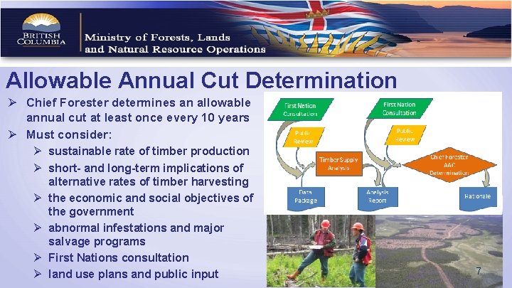 Allowable Annual Cut Determination Ø Chief Forester determines an allowable annual cut at least