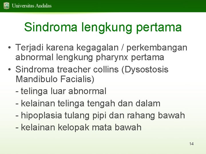 Sindroma lengkung pertama • Terjadi karena kegagalan / perkembangan abnormal lengkung pharynx pertama •